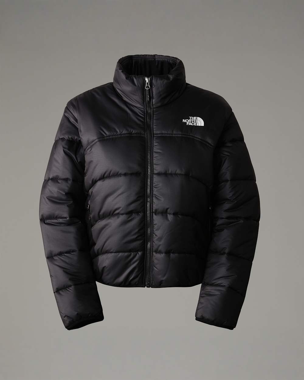 2000 Synthetic Puffer Jacket W TNF ALT20