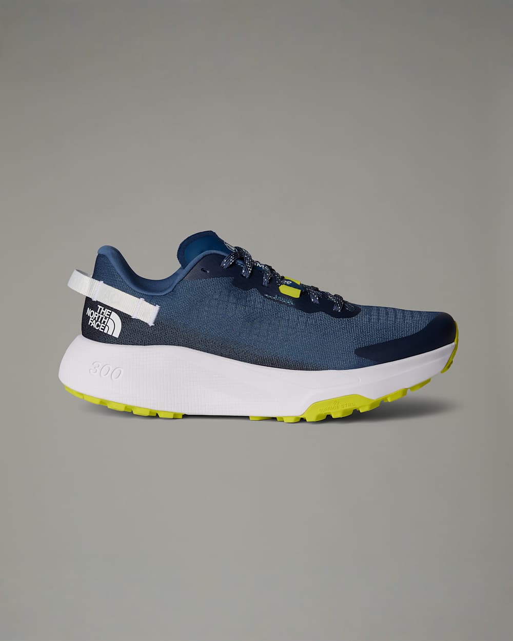 Mens Altamesa 300 Trail Running Shoes TNF hero