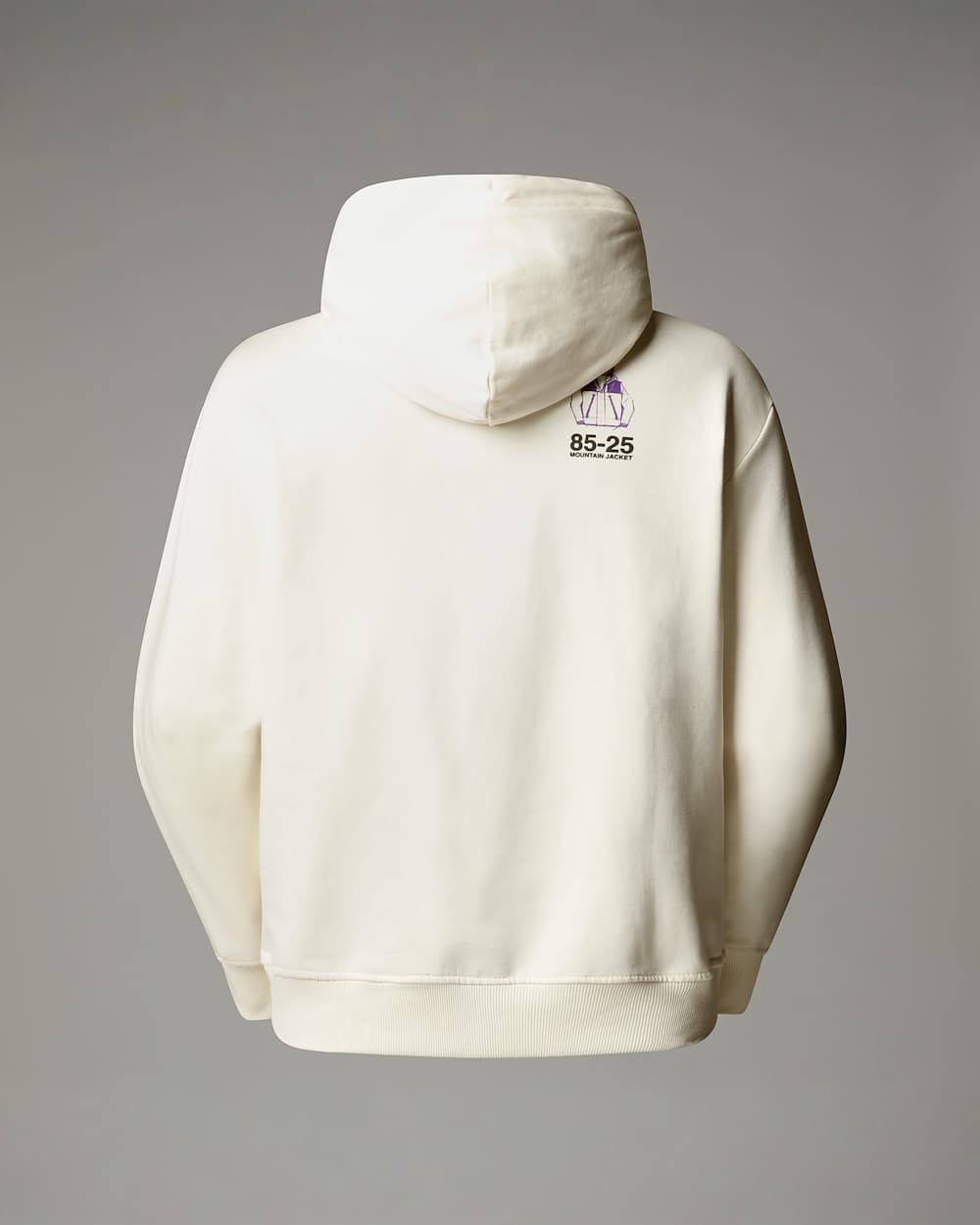 Sudadera holgada con capucha Mountain Jacket Anniversary TNF alt1