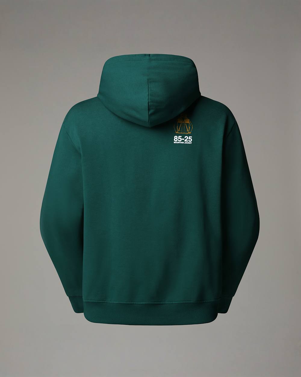 Sweat  capuche dcontract Mountain Jacket Anniversary TNF ALT1