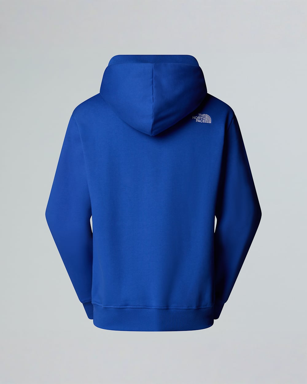 Unisex Icon Relaxed Hoodie TNF ALT1