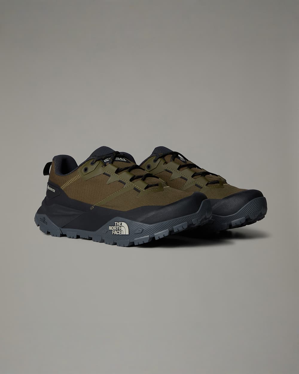 Offtrail GORETEXwandelschoenen voor heren TNF ALT8