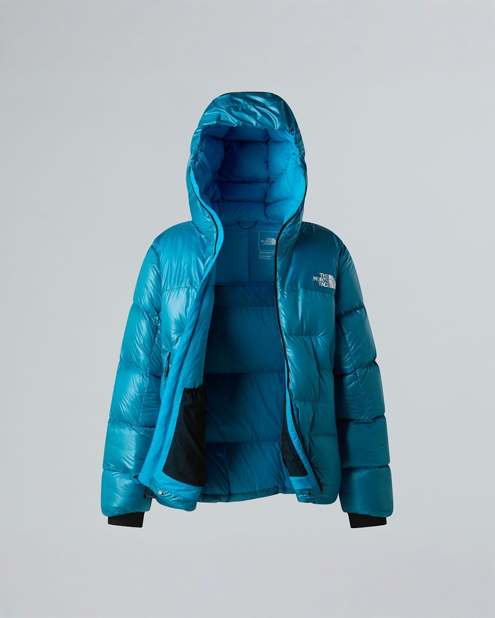 Mens Summit Pumori Down Parka TNF ALT17