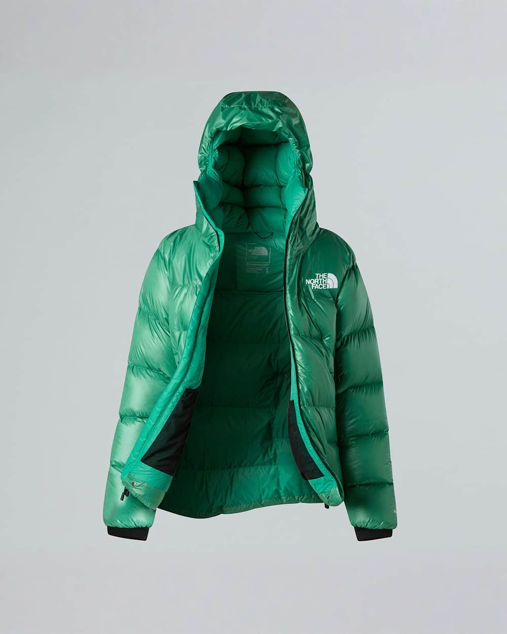 Womens Summit Pumori Down Parka TNF ALT17