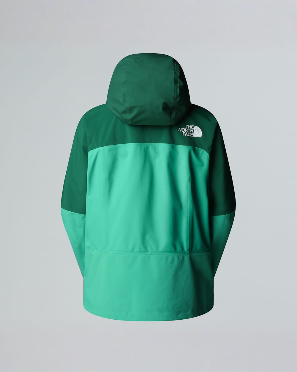 Womens Summit Torre Egger FUTURELIGHT Jacket TNF ALT21
