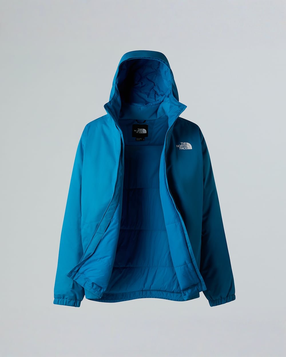 Gesoleerde Questjas voor heren TNF ALT17