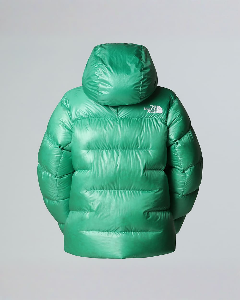 Womens Summit Pumori Down Parka TNF ALT21