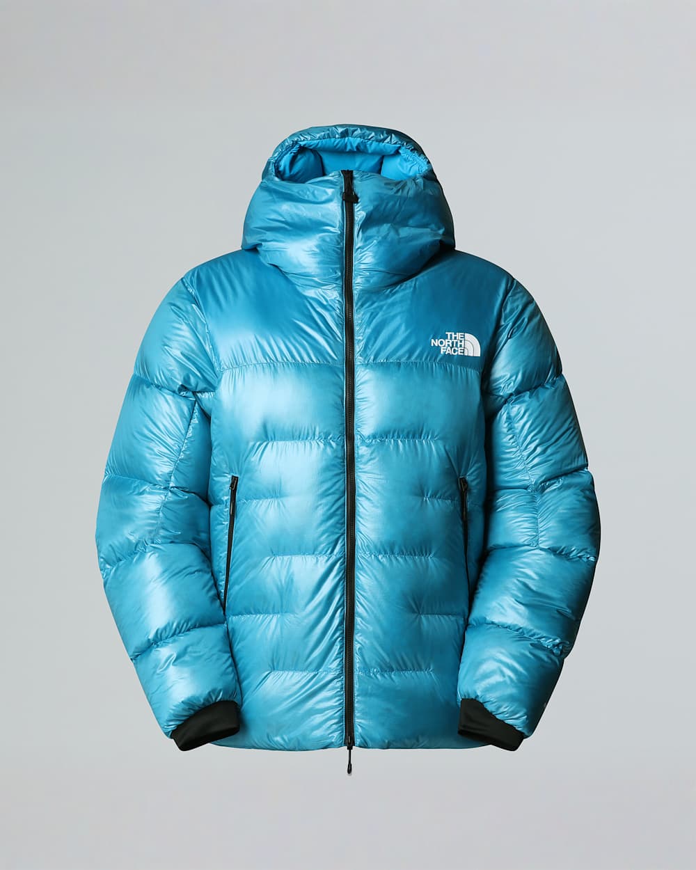Mens Summit Pumori Down Parka TNF ALT20