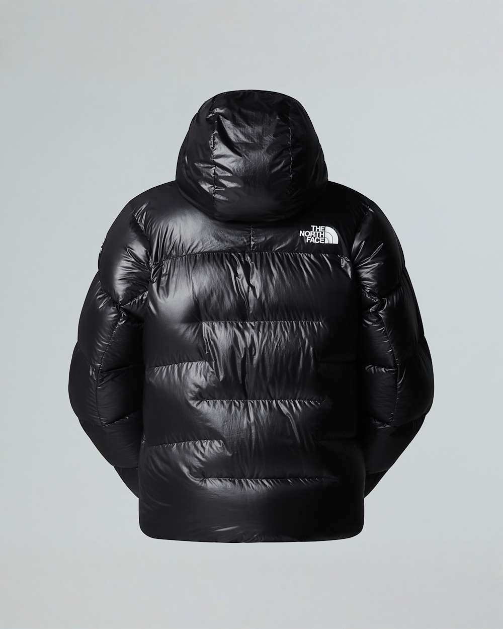 Mens Summit Pumori Down Parka TNF alt21