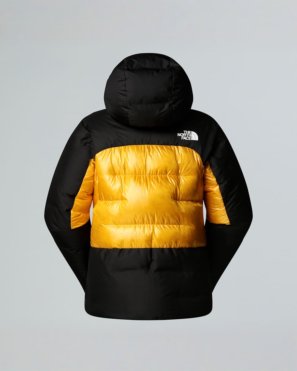 Womens Summit Himalayan Down Parka TNF ALT21