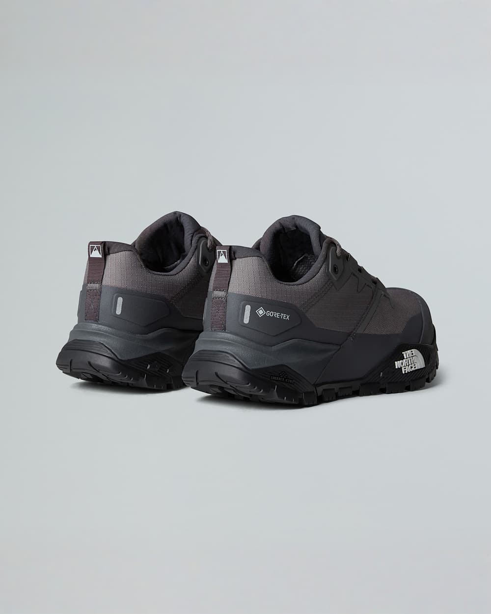 Scarpe da escursionismo Offtrail GORETEX da uomo TNF alt6