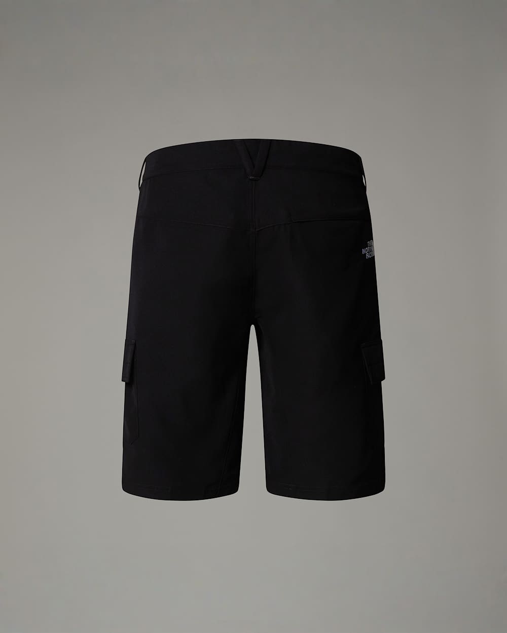 Horizonshort voor heren TNF alt1