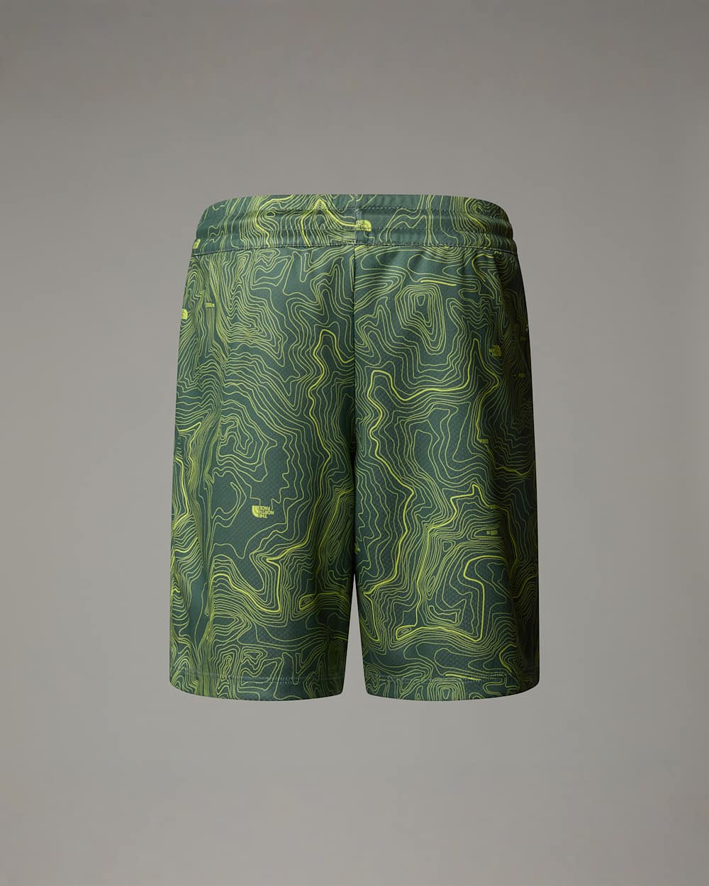 Boys Never Stop Shorts TNF ALT1