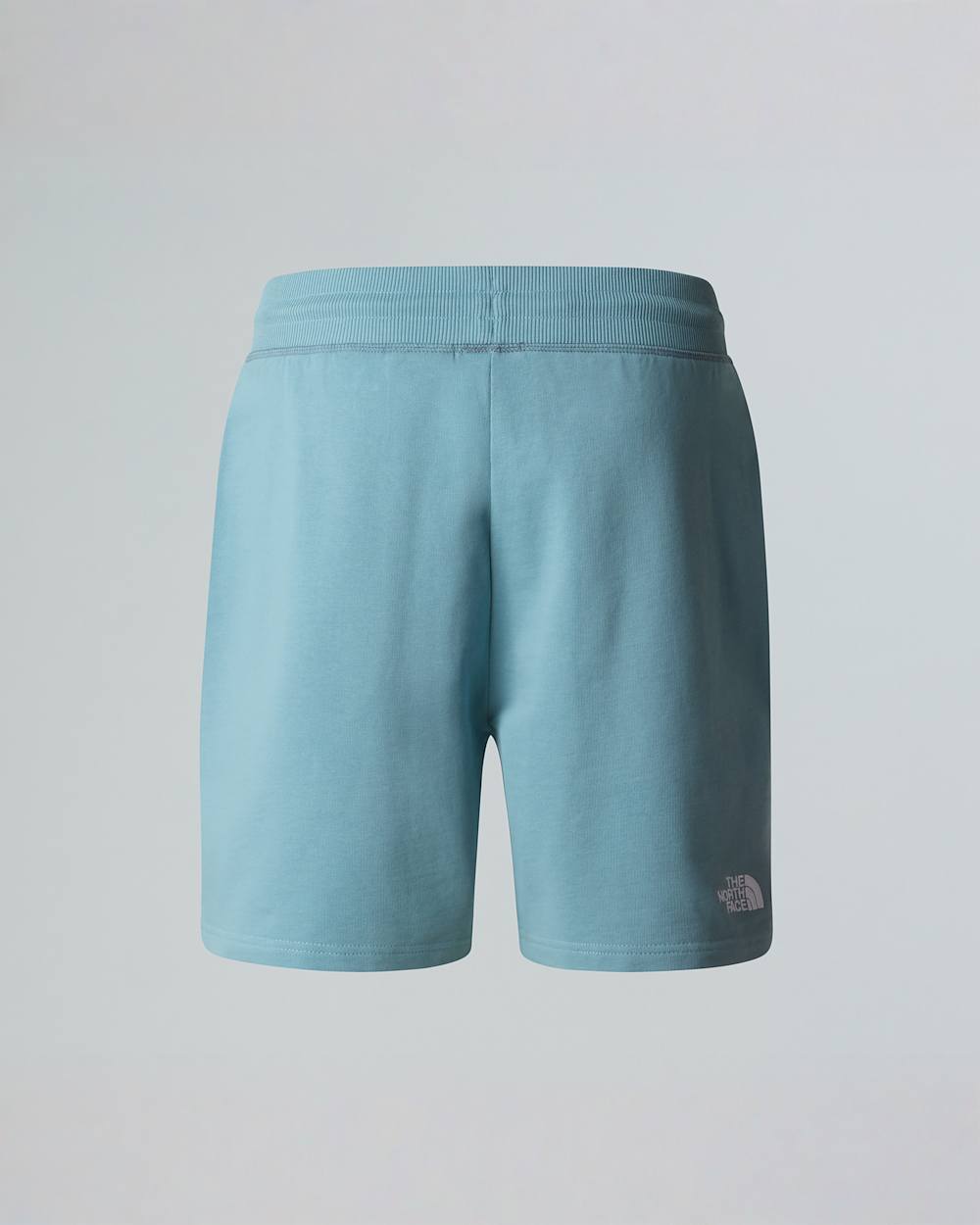 Short Essential Lite pour homme TNF ALT1