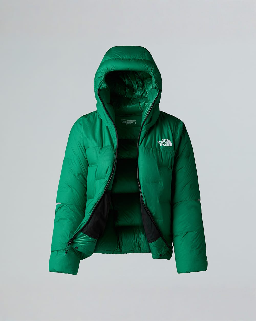 Mens Summit Cloud Down AMK Parka TNF ALT17