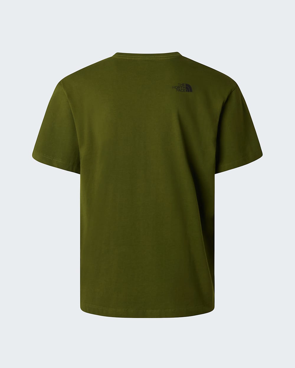 Camiseta holgada con logotipo Mountain para hombre TNF ALT21