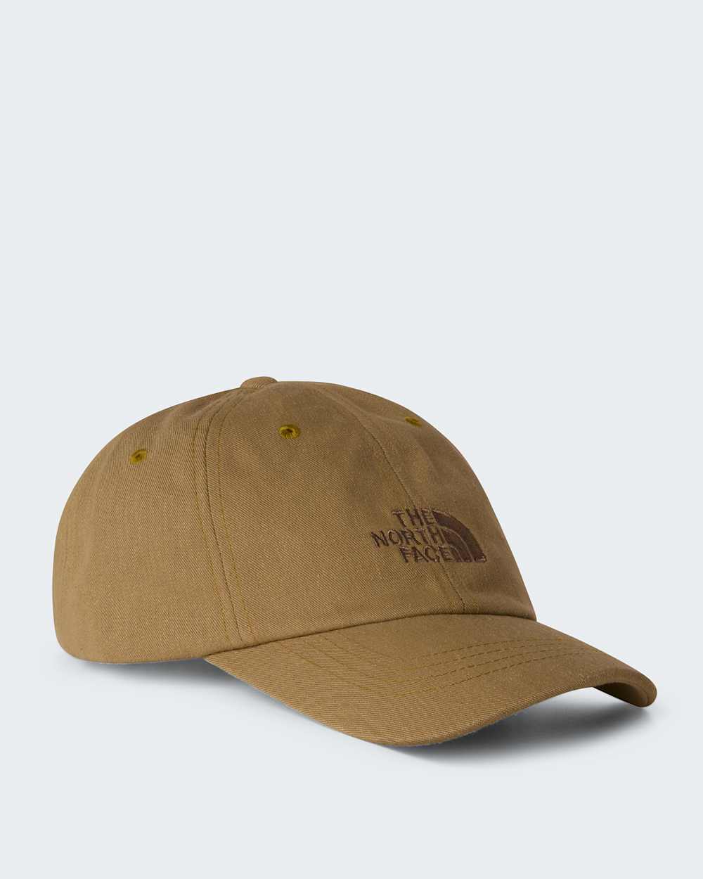 Cap Norm TNF Cedar HERO