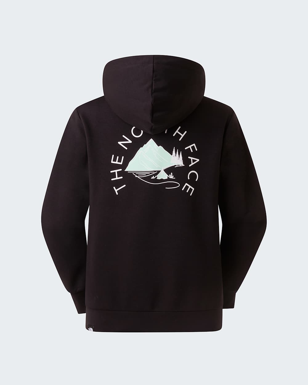 Womens Monte Regular Graphic Hoodie TNF ALT21