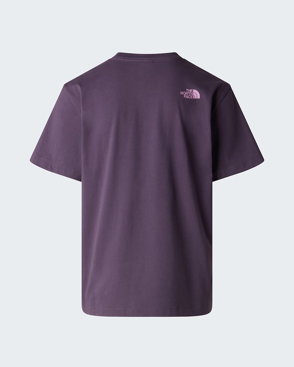 Camiseta holgada con estampado grfico y logotipo Twist para hombre TNF ALT21