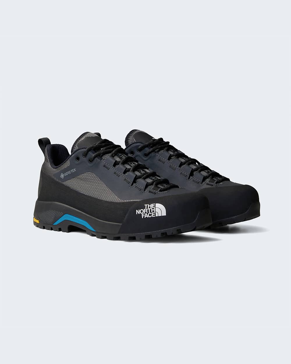 Mens Verto GORETEX Alpine Shoes TNF ALT8
