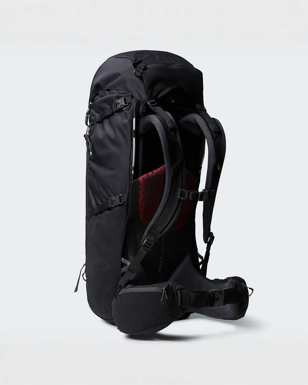 Macuto de senderismo Terra de 65 litros TNF ALT2