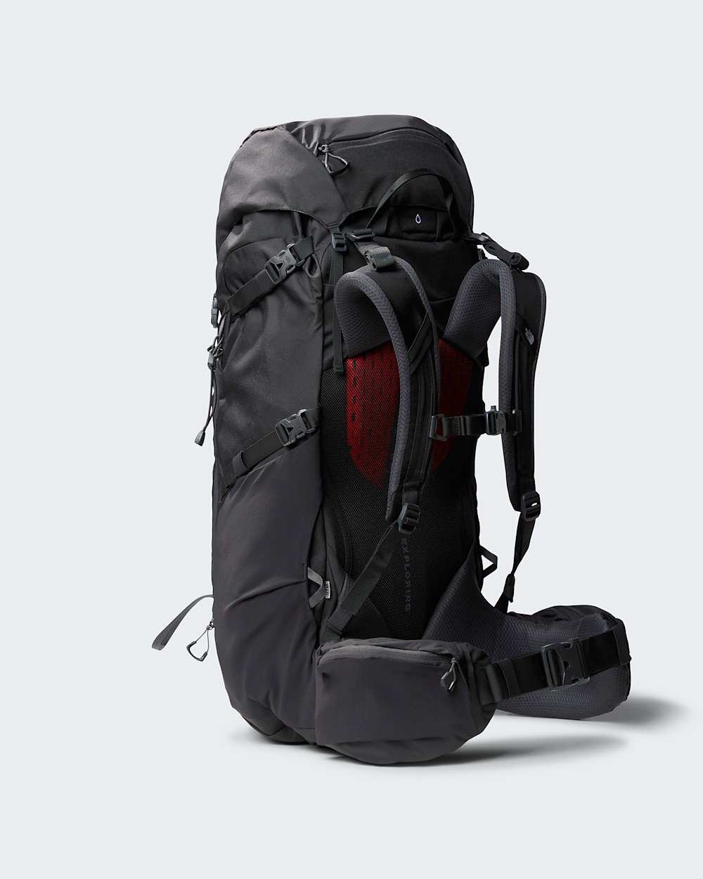 Terra 55Litre Hiking Backpack TNF ALT2