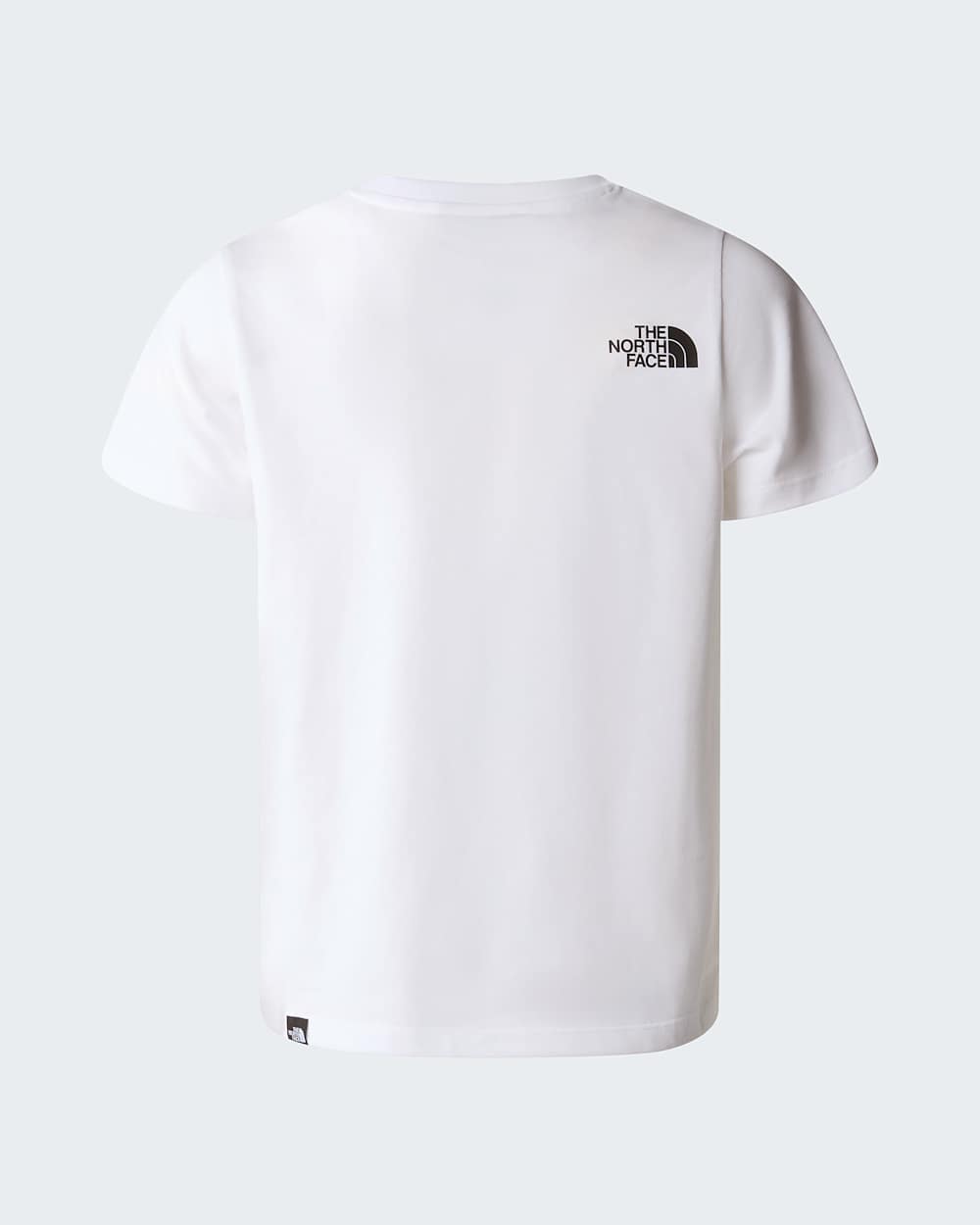 Teens Simple Dome TShirt TNF ALT21