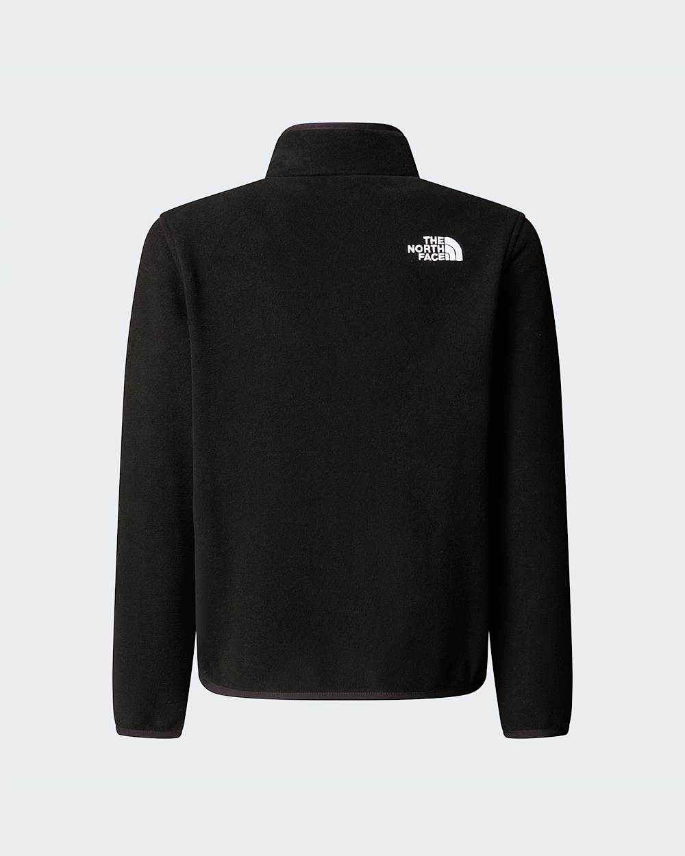 Teens Glacier 14 Zip Fleece TNF ALT21