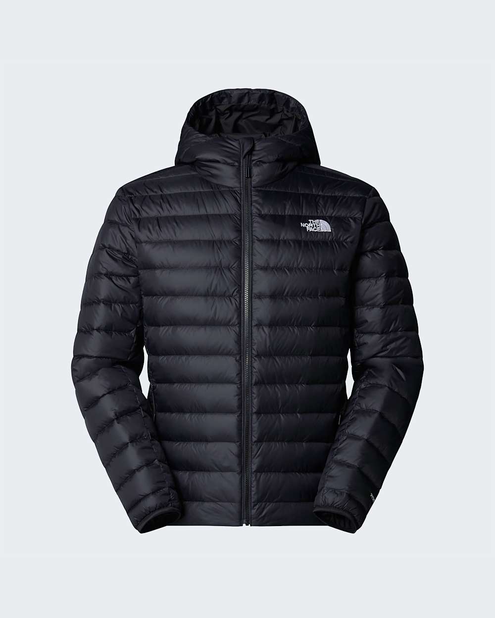 Classicdonsjas met capuchon voor heren TNF ALT20