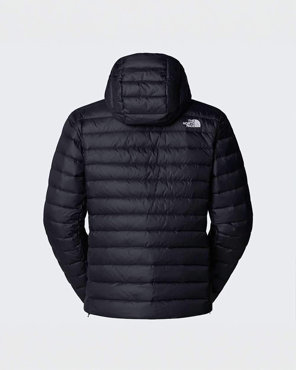 Classicdonsjas met capuchon voor heren TNF ALT21