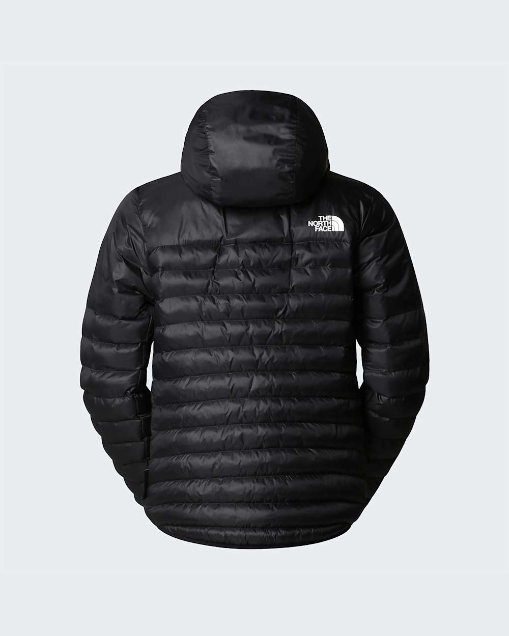 Veste  capuche Terra Peak pour femme TNF ALT21
