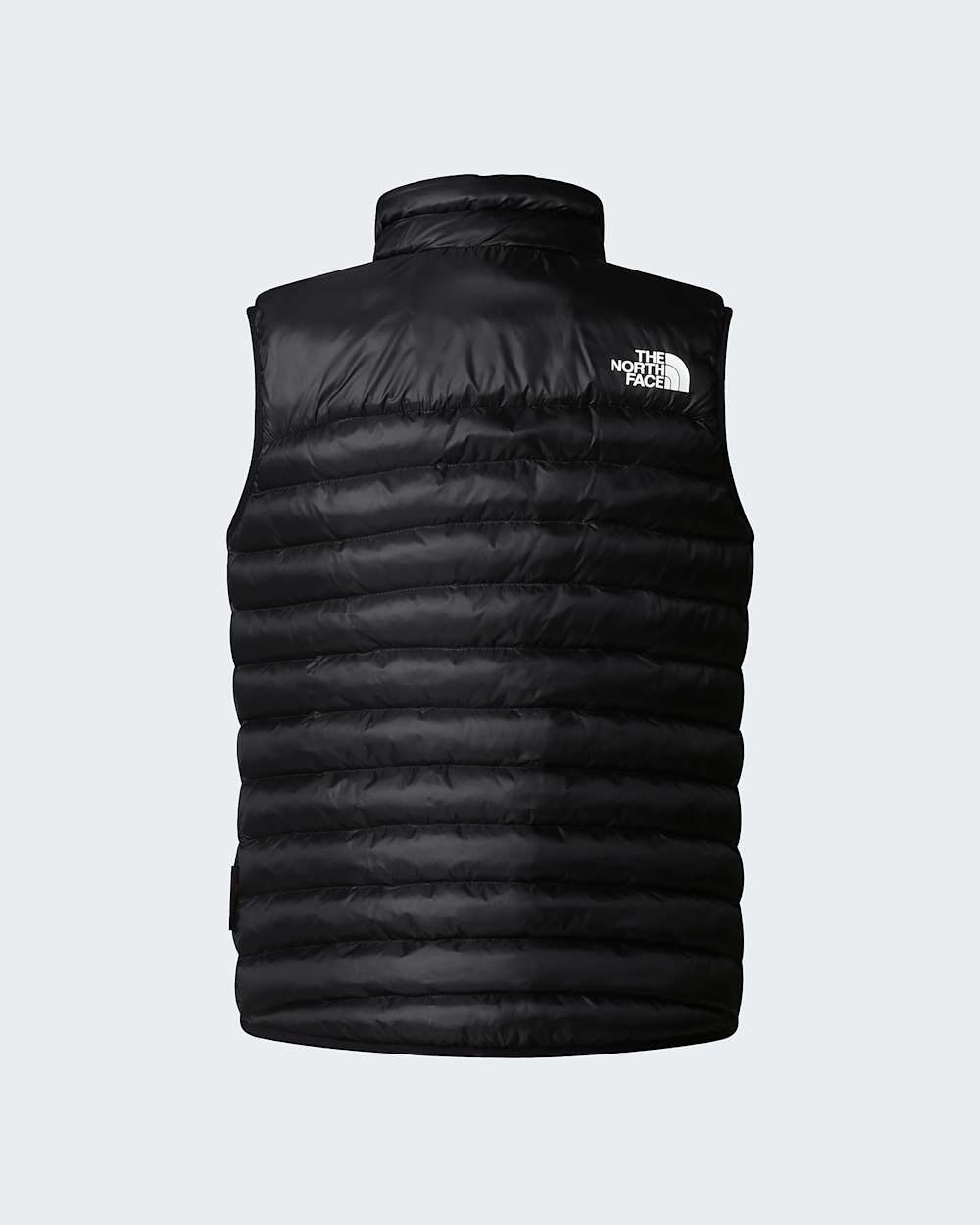 Gilet Terra Peak pour femme TNF ALT21