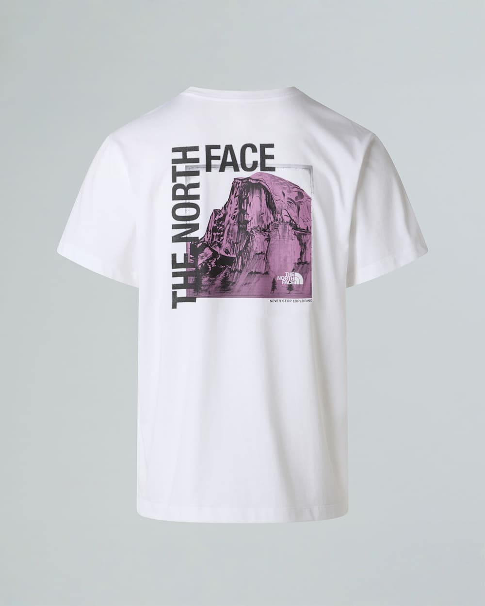 Camiseta grfica recta Half Dome Photo para hombre TNF alt1