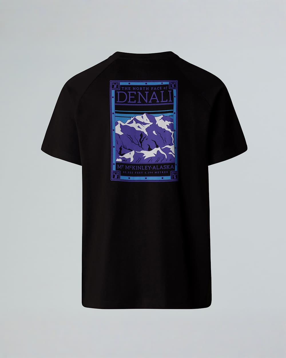 Mens North Faces TShirt TNF ALT1