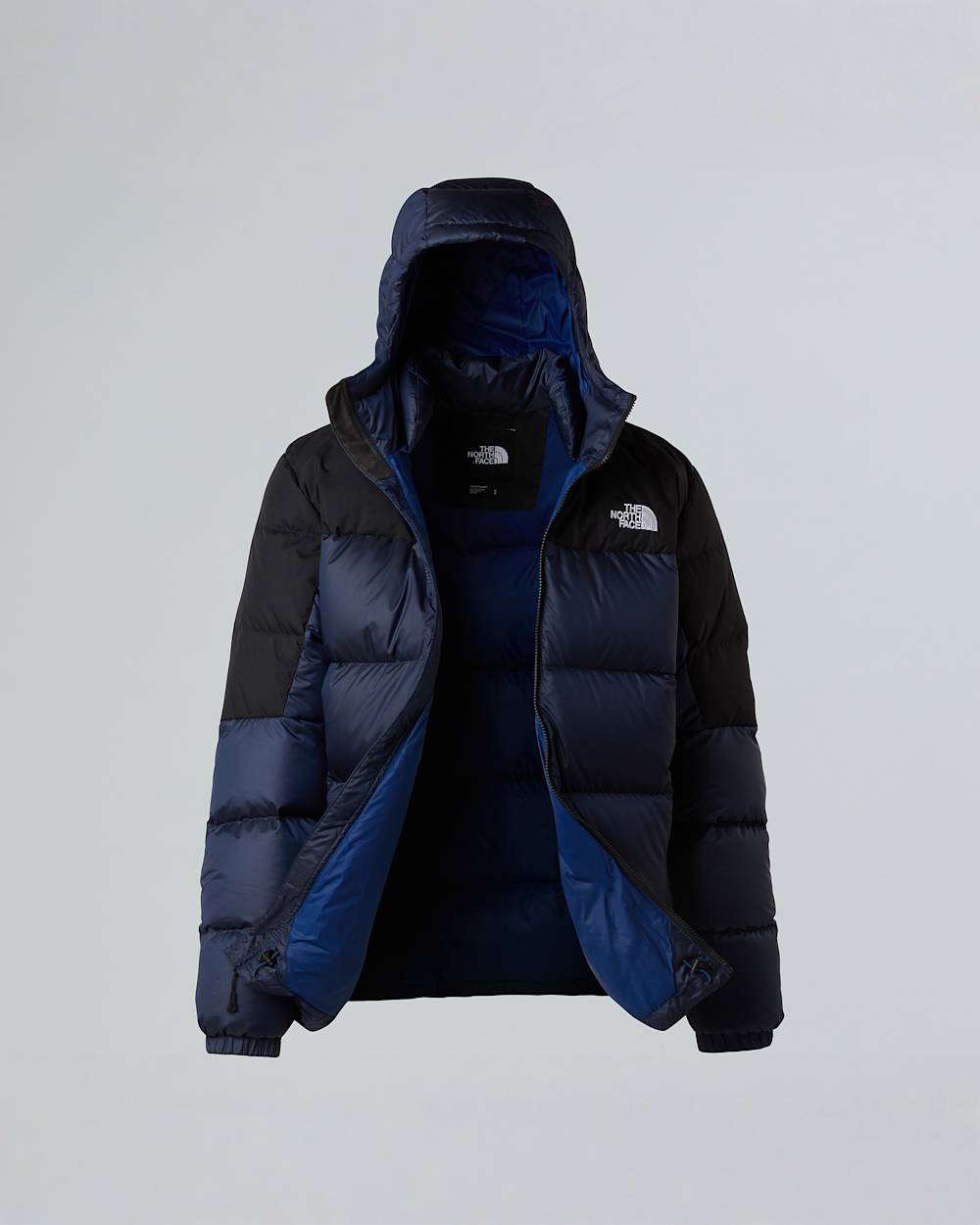 Mens Diablo Down 20 Hooded Jacket TNF ALT23
