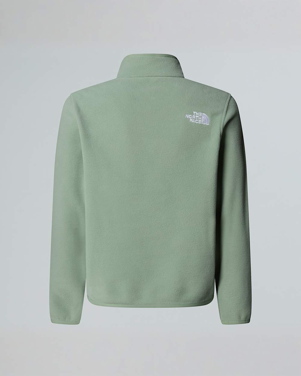 Glacierfleece met kwartrits voor tieners TNF ALT1