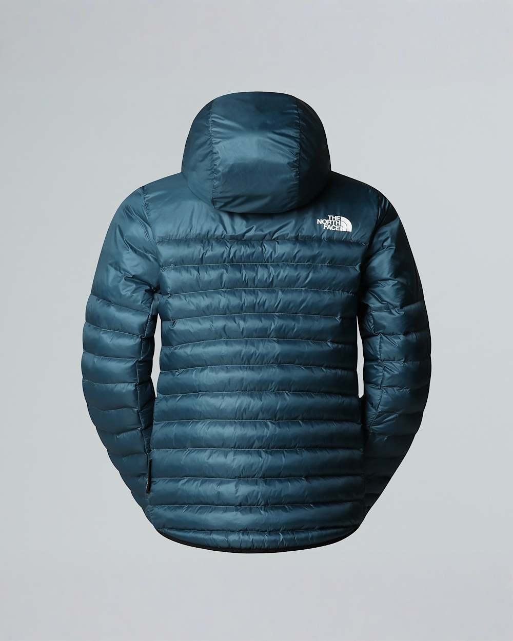 Veste  capuche Terra Peak pour femme TNF ALT1