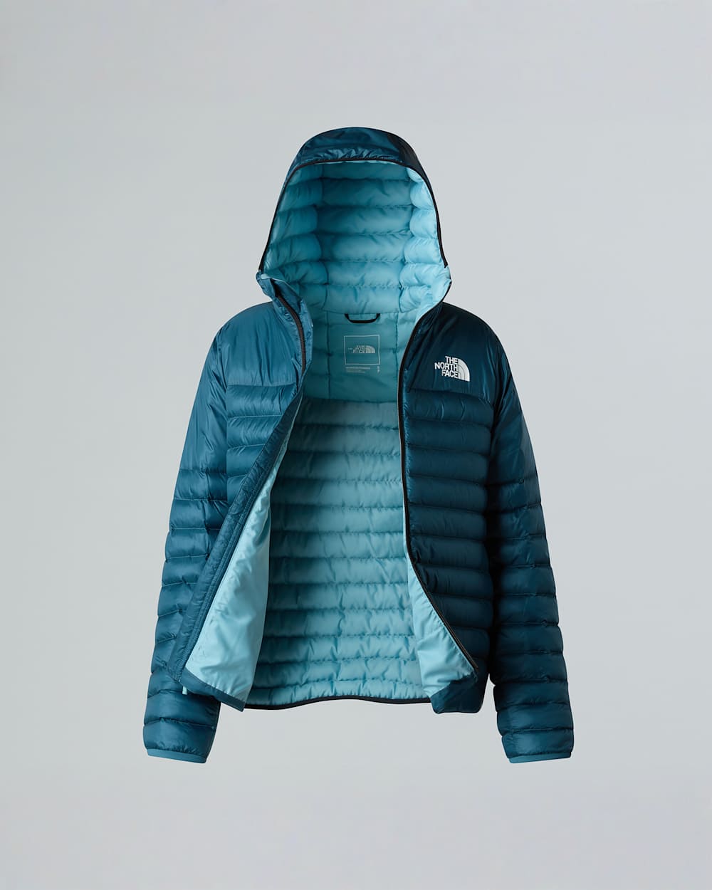 Veste  capuche Terra Peak pour femme TNF ALT23