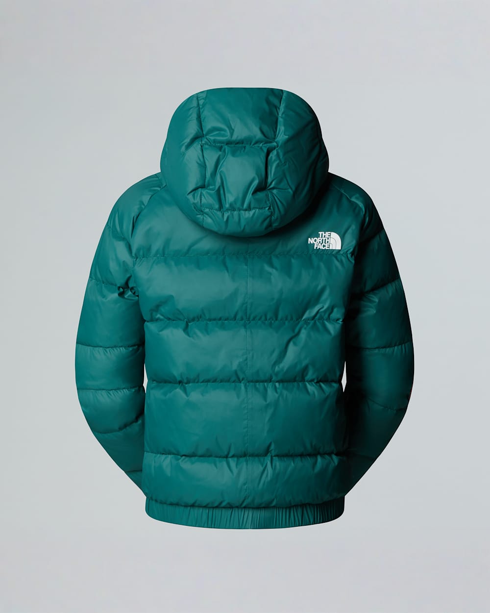 Womens Hyalite Down Hooded Jacket TNF alt1
