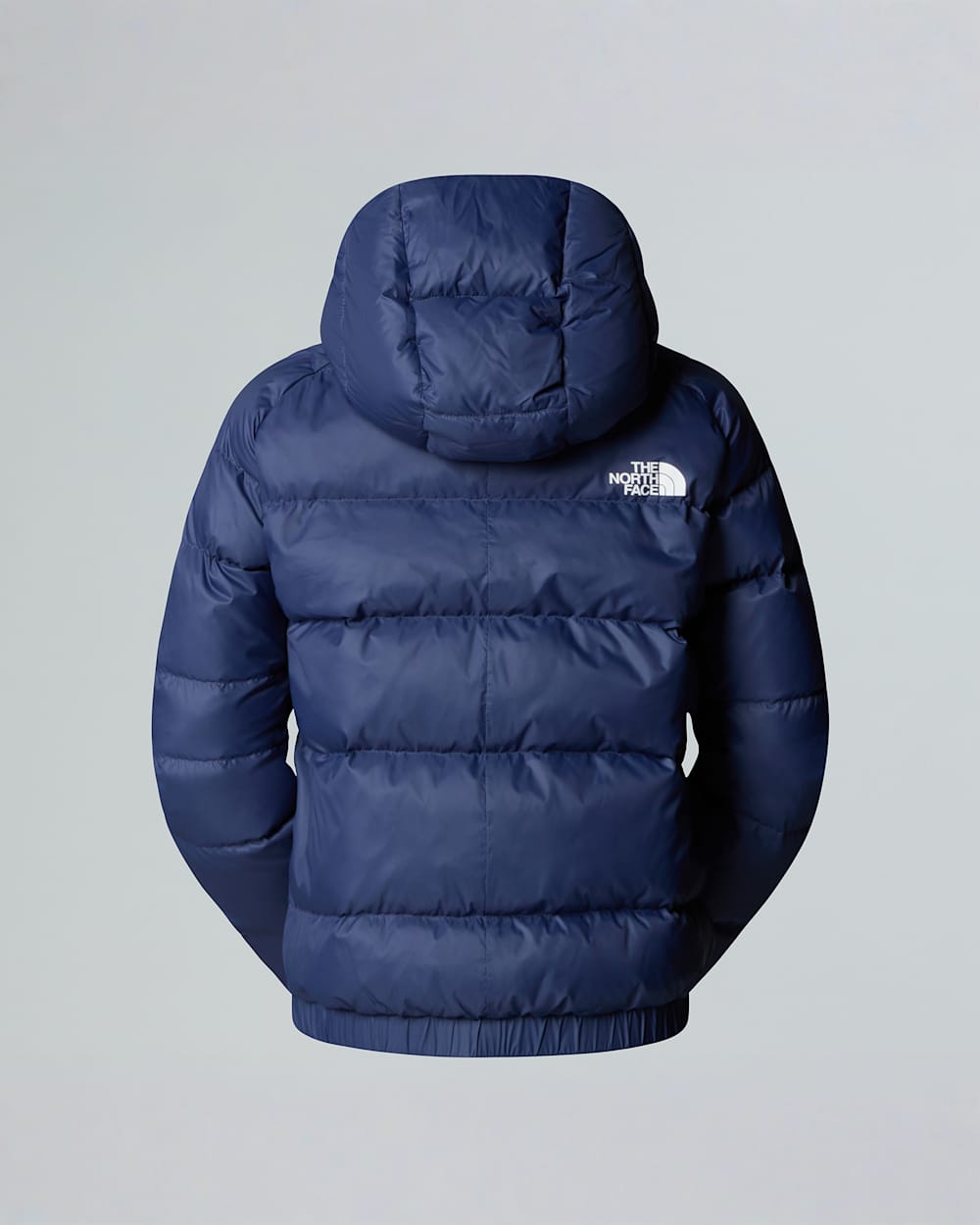 Hyalitedonsjas met capuchon voor dames TNF ALT1