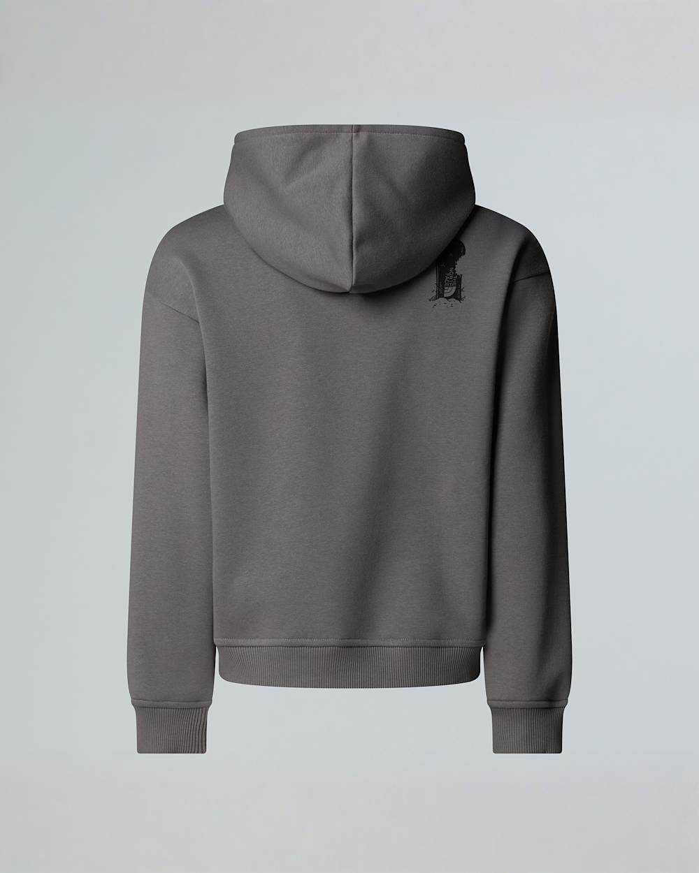 Sports Kapuzenpulli mit Grafik in Oversize fr Jungen TNF ALT1