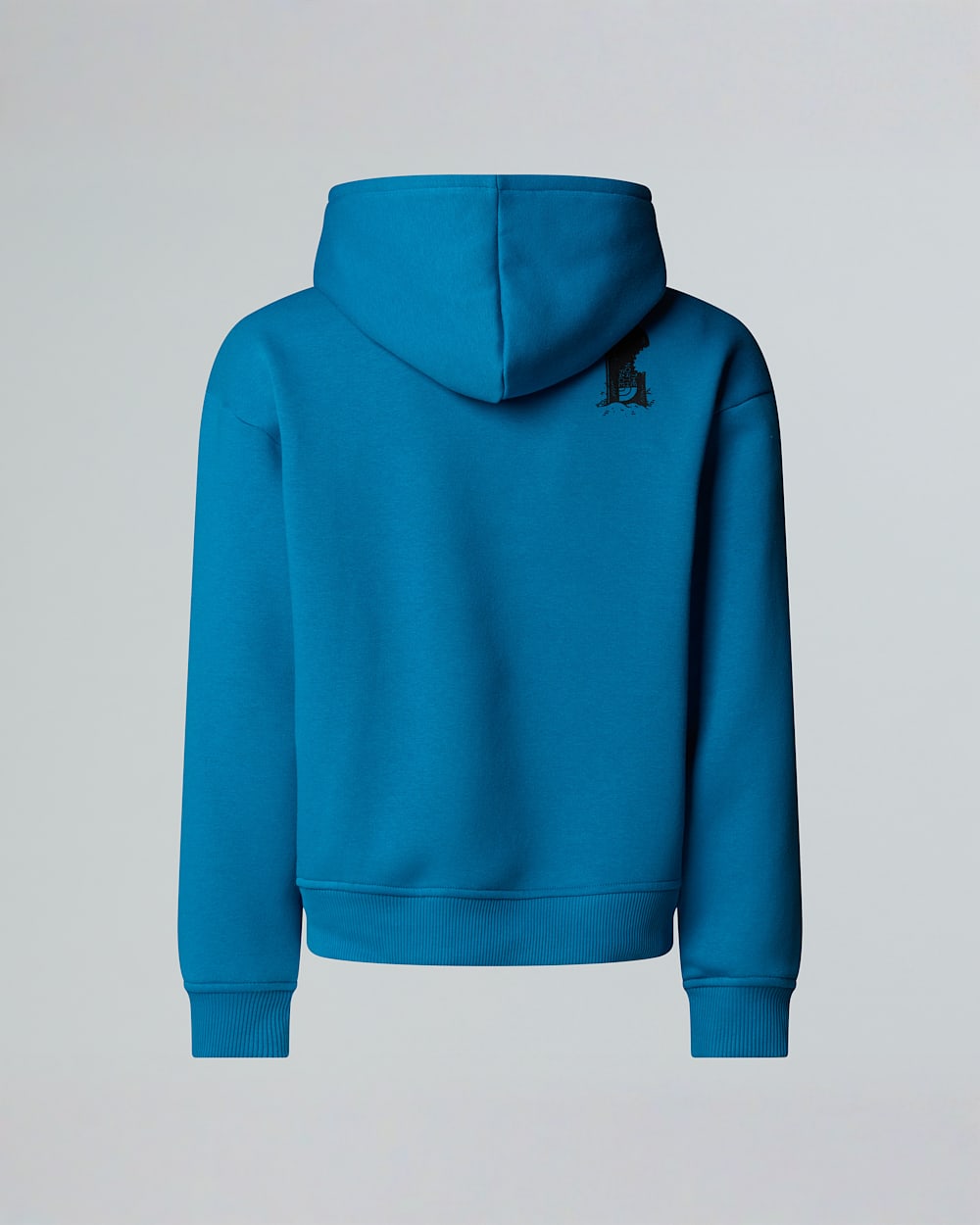 Boys Sports Oversized Graphic Hoodie TNF alt1