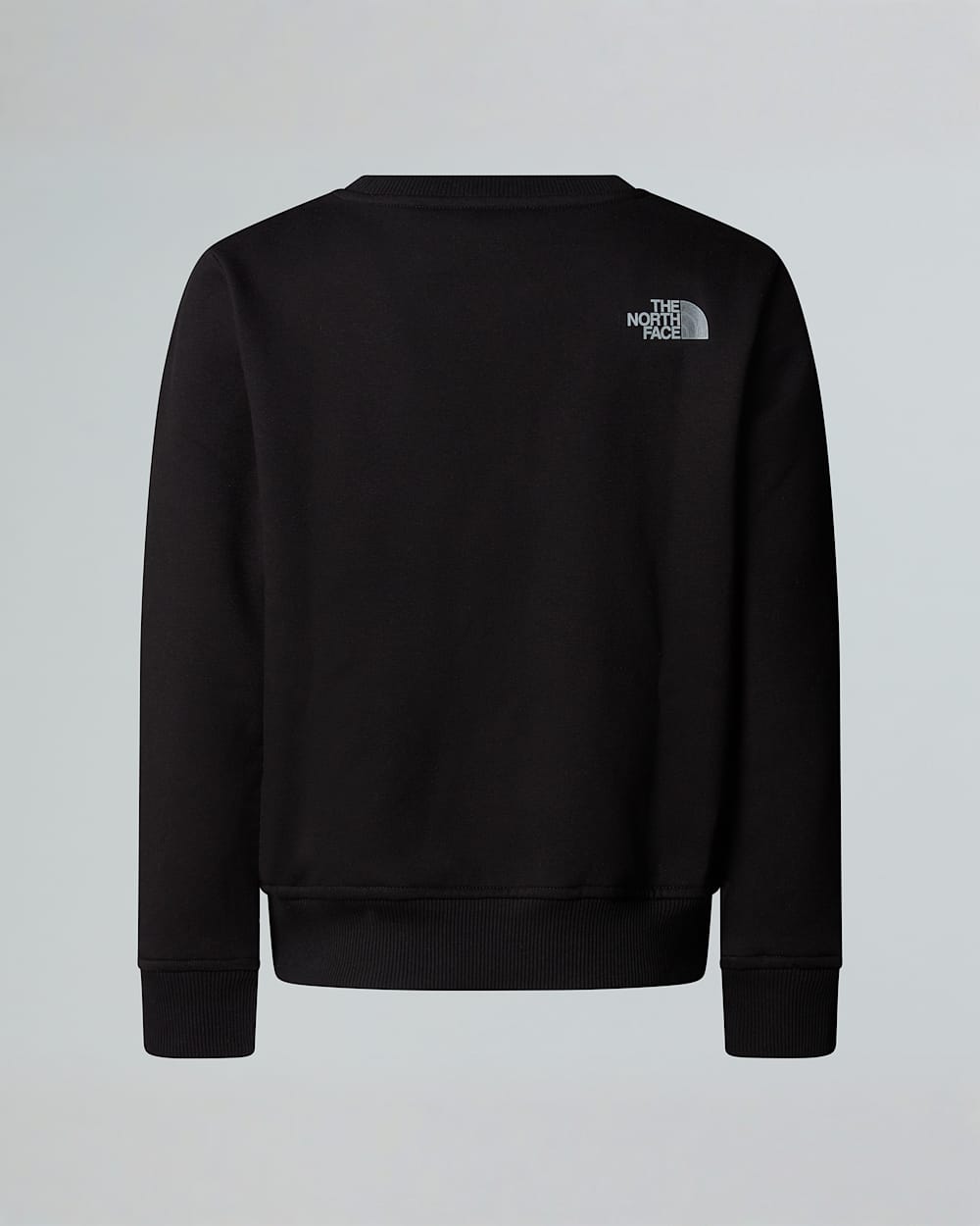Boys Reflective Logo Relaxed Sweatshirt TNF alt1