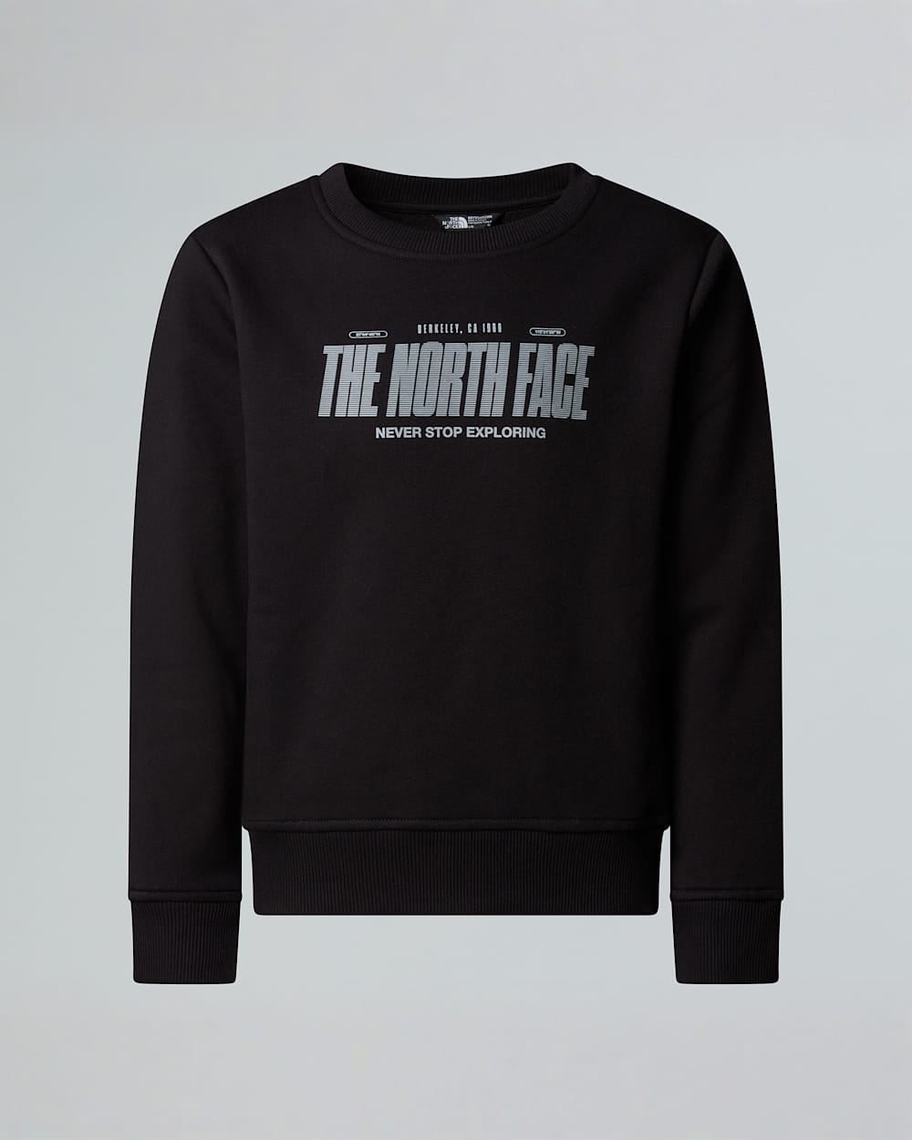 Boys Reflective Logo Relaxed Sweatshirt TNF hero