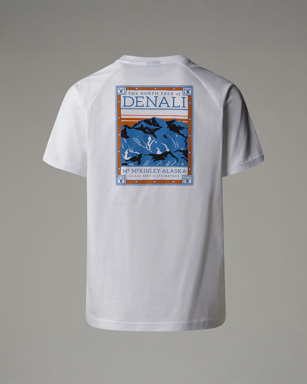 Tshirt North Faces pour homme TNF HERO