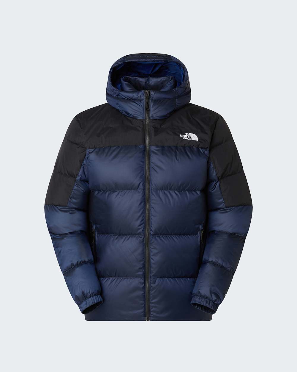 Mens Diablo Down 20 Hooded Jacket TNF ALT20