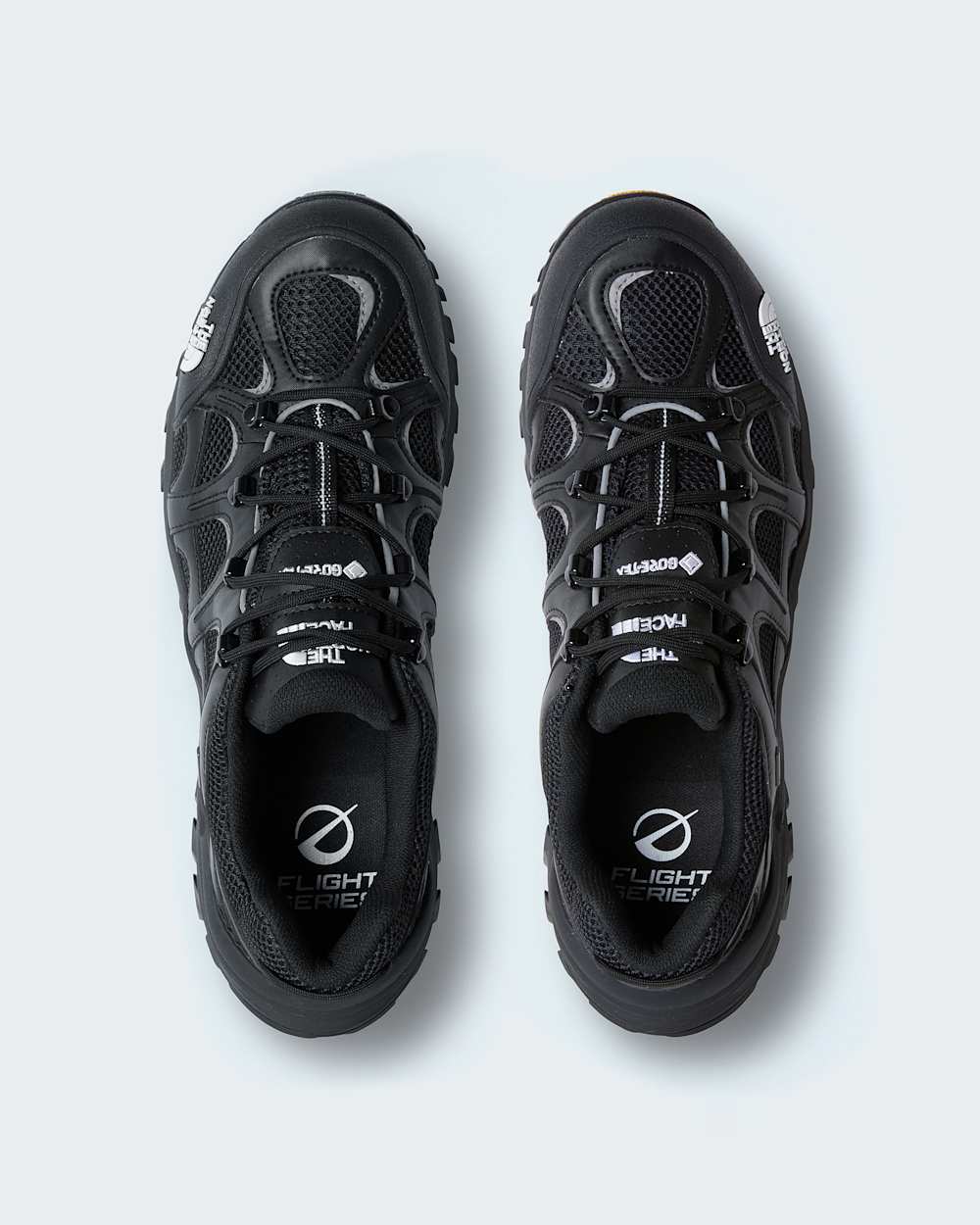 Hedgehog 06 RVST GORETEX Shoes TNF ALT1