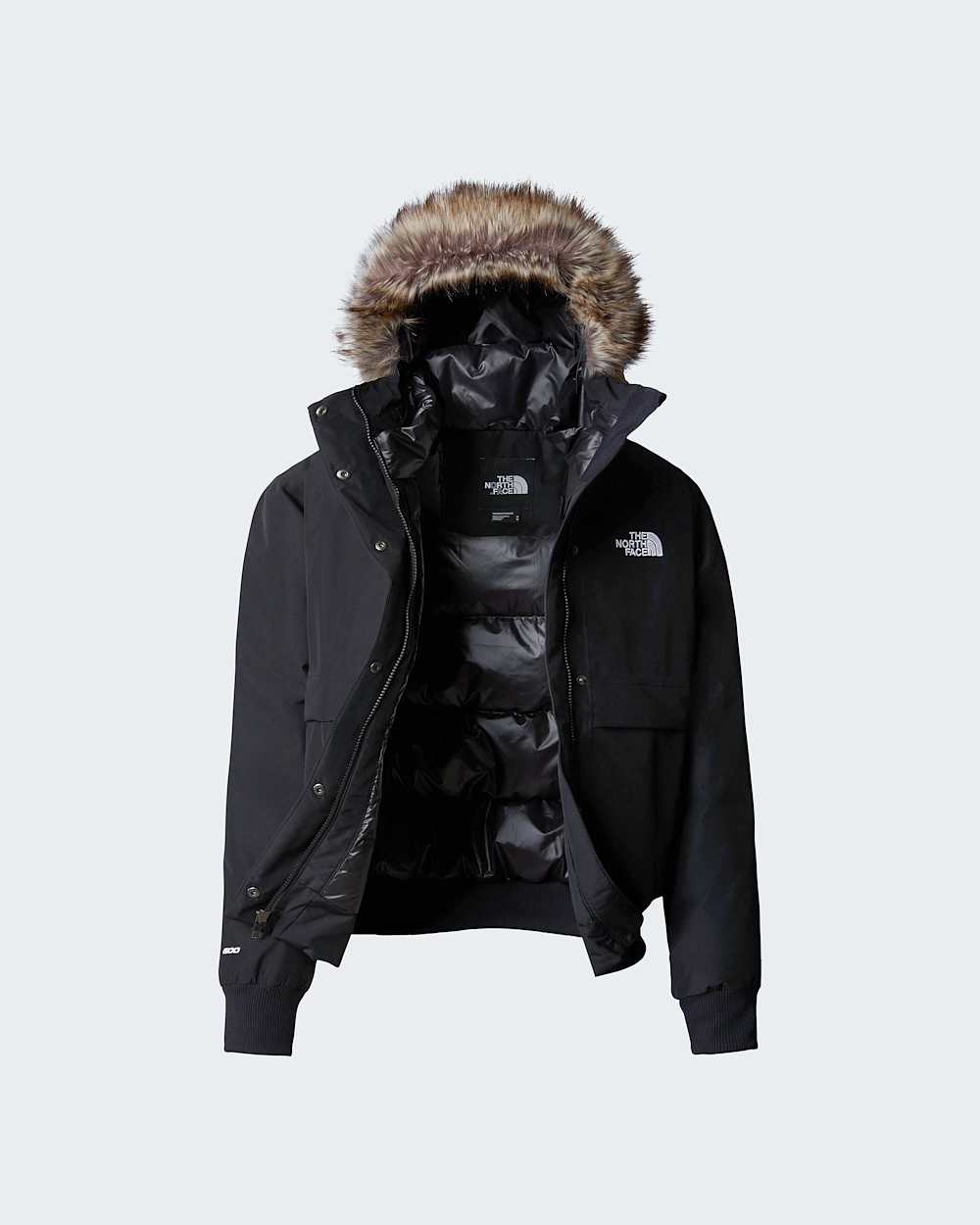 Arcticbomberjas voor dames TNF ALT17