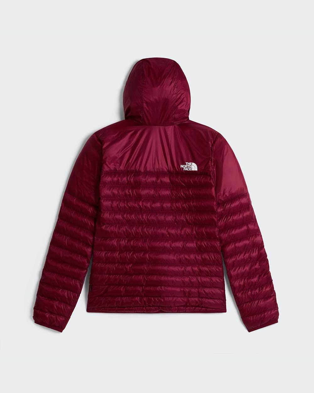 Womens Terra Peak Hooded Jacket TNF ALT31