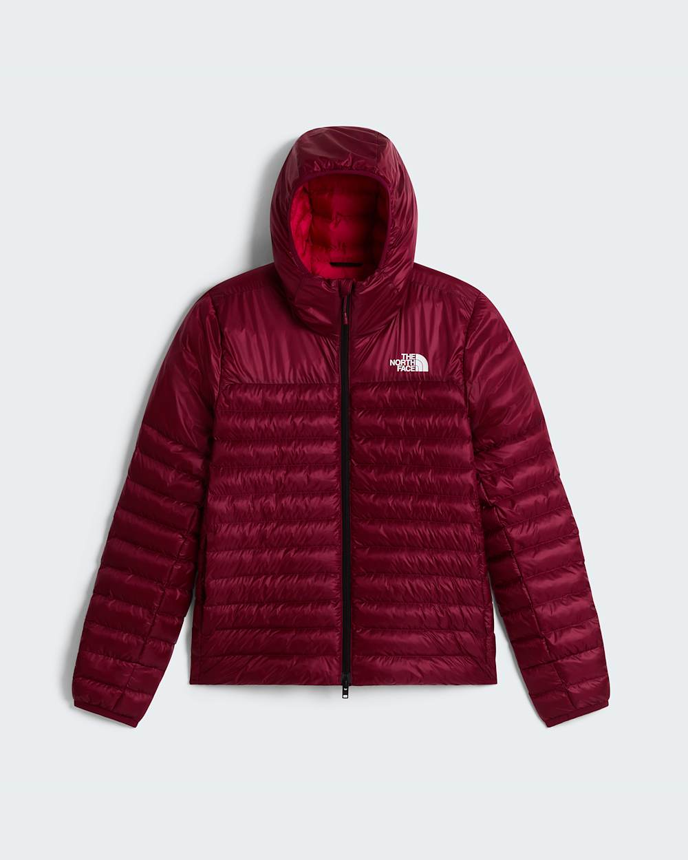 Womens Terra Peak Hooded Jacket TNF ALT30